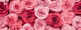 Outfit Inspo: Valentine's Day